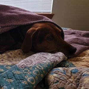 Meet your Posher, Cassandra